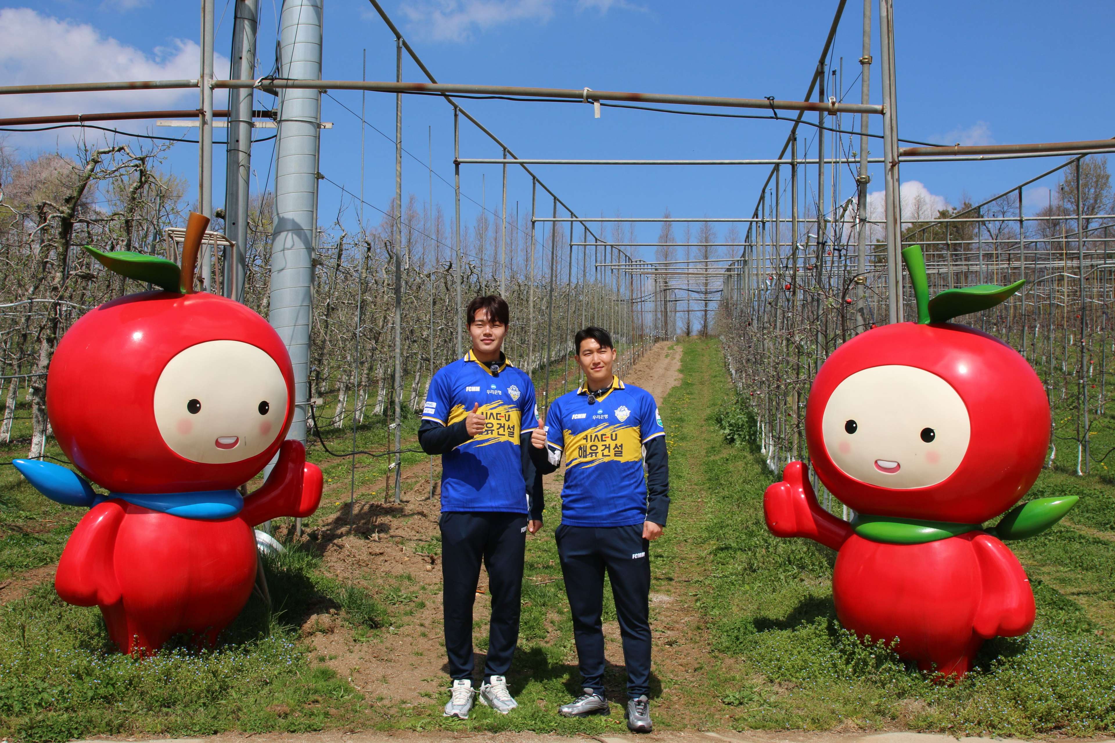 충남한바퀴 예산군